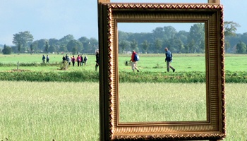 Zintuigen TodN Zien